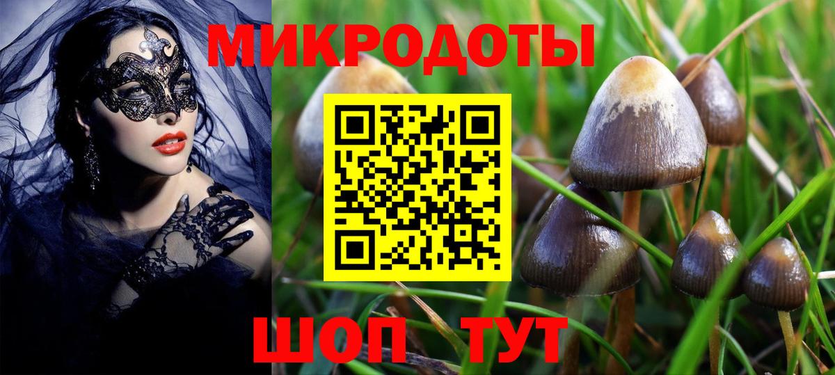 купить   Вход с VPN  Прохладный  Псилоцибиновые грибы MAGIC MUSHROOMS 