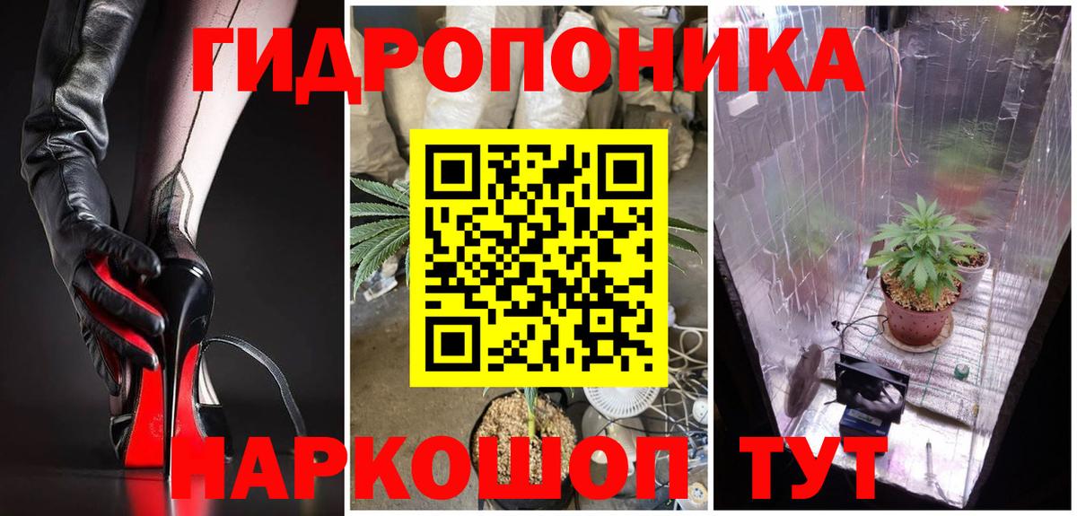 Бошки Шишки конопля  Канабис ГИДРОПОН  Вход с VPN  Каннабис Bruce Banner  Прохладный 